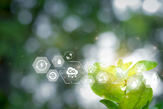 Accompagnement RSE pour TPE et PME