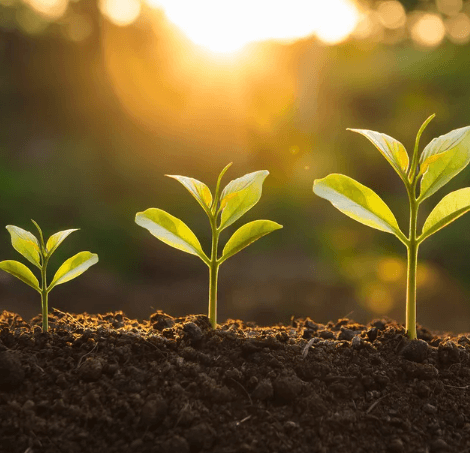 Projets Energies Renouvelables