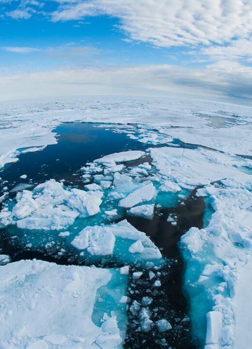 Accompagnement SBTi